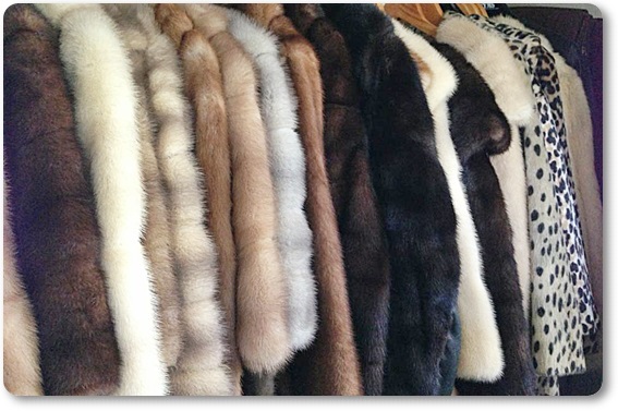 �є甃��E���R�s�Ŗє��������������Ă��炤�Ȃ�R�R�I���z����